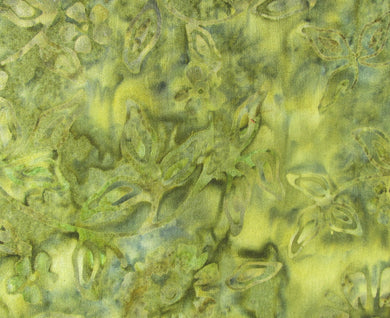 Tonga Olive