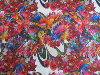 Hummingbird Garden 05