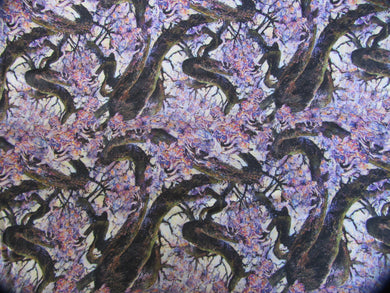 Jacarandas A