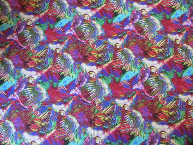 Parrot Pandemonium 02