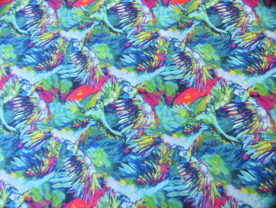 Parrot Pandemonium 06