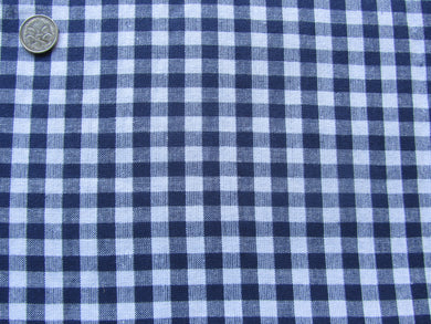 Navy Check